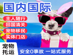 鄂尔多斯机场快运国际宠物托运 【国